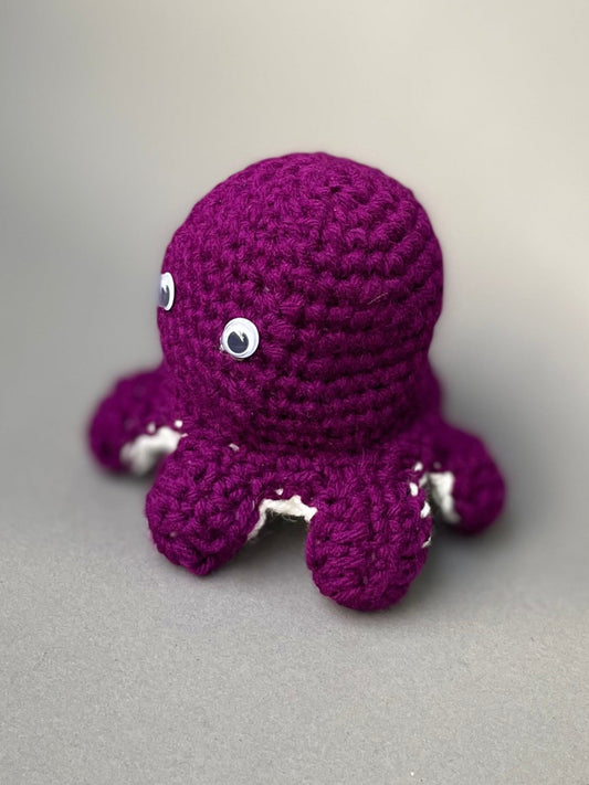 Bibi The Octopus